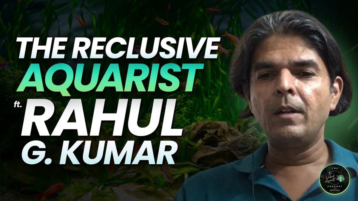 TWA Podcast: Featuring Rahul G.Kumar