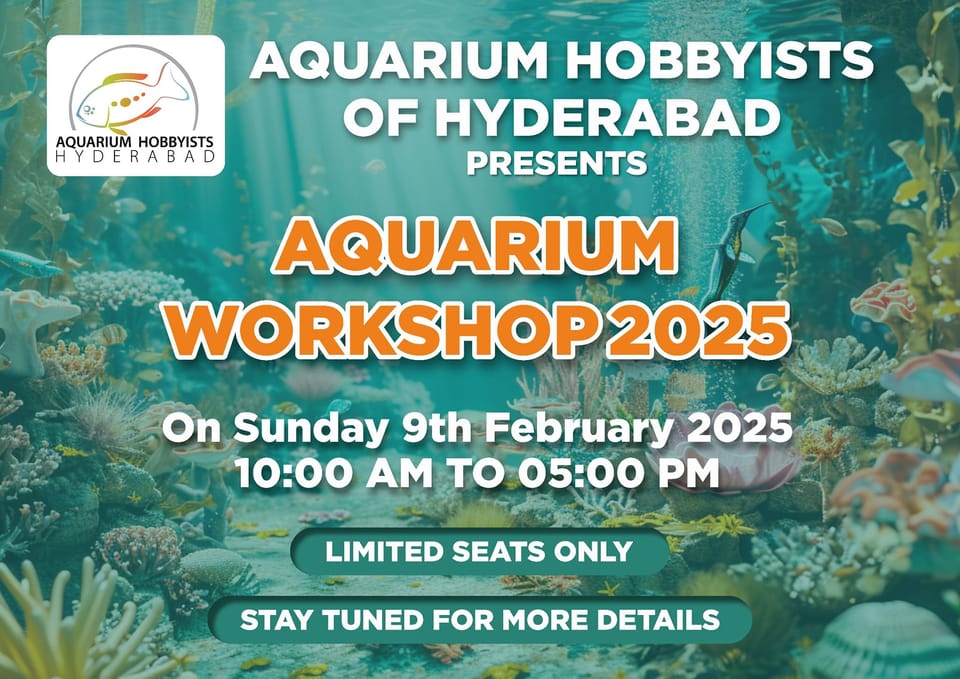 Aquarium Workshop 2025 | Hyderabad