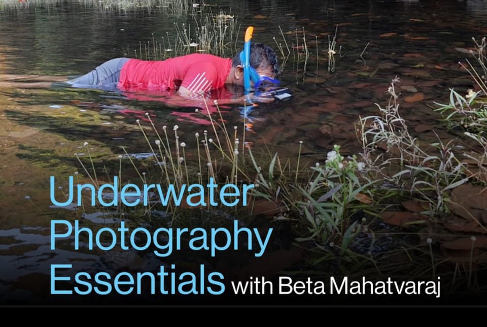Underwater Photography Essentials and more...