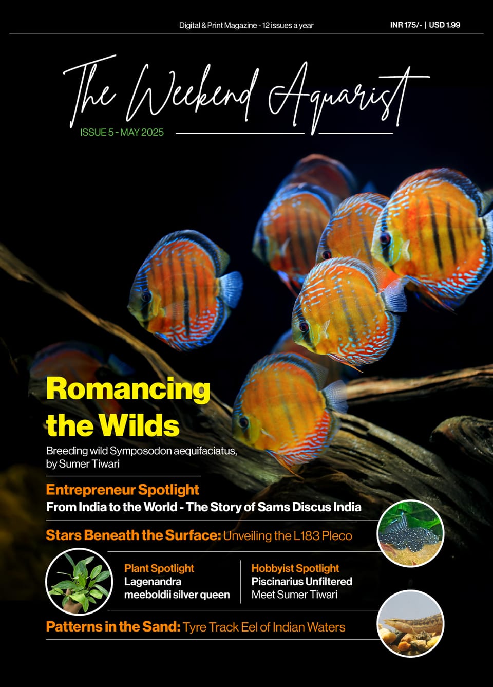 The May Issue is around the corner